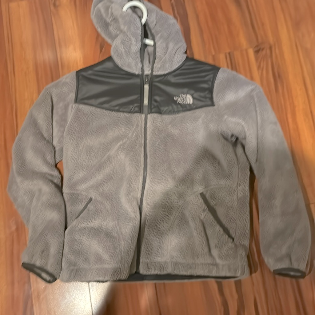 Gray Northface